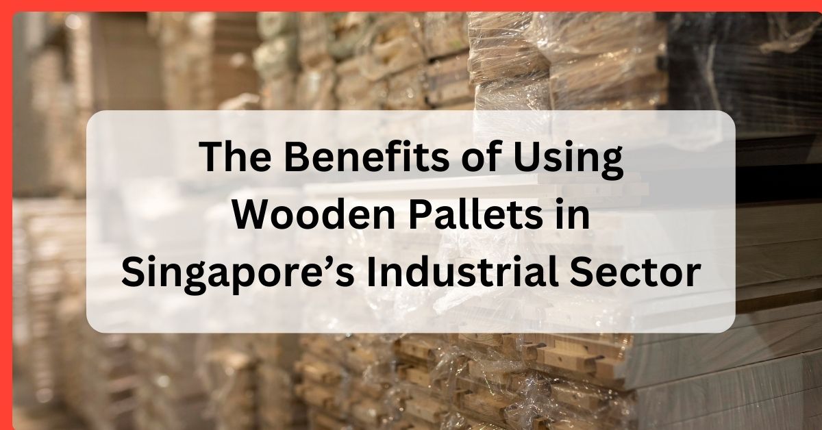The Benefits of Using Wooden Pallets in Singapore’s Industrial Sector